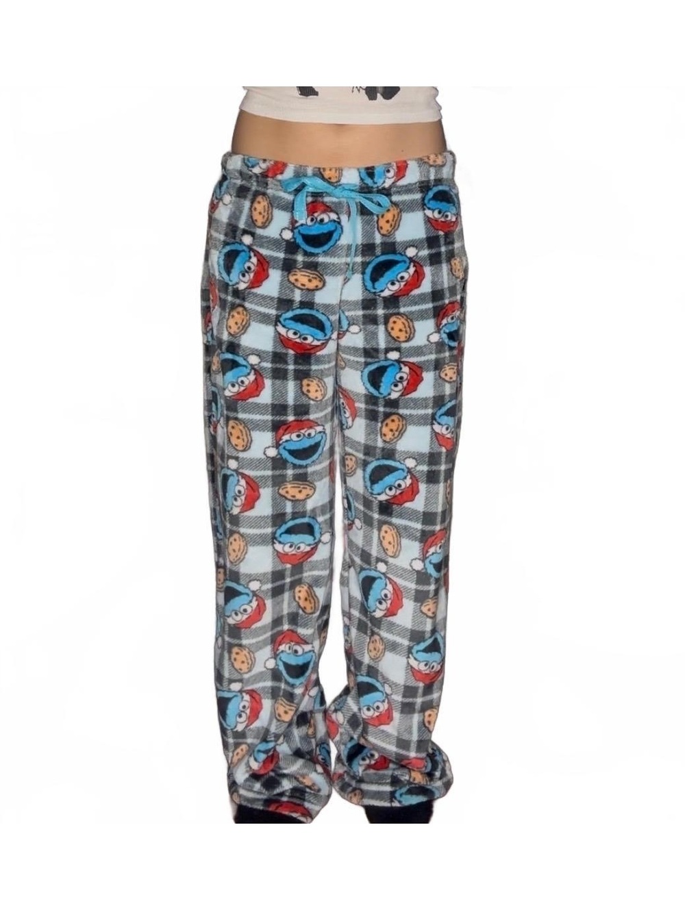 Sesame Street Cookie Monster Santa Fuzzy Plaid Christmas Pajama Pants Medium